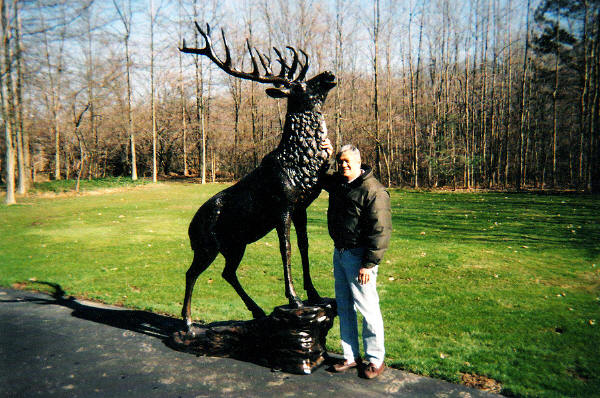 Elk on Rock Dunkirk, NY