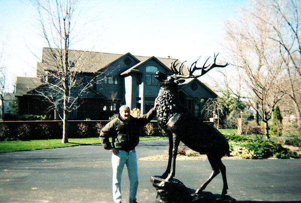 Elk on Rock Dunkirk, NY